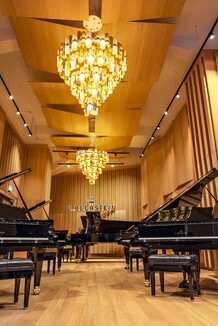 04 Aura-Germany, Hamburg-Bechstein Piano House_RETAIL